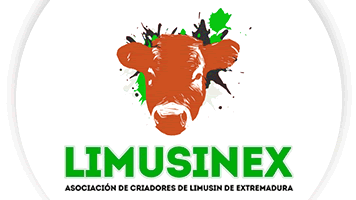 limusinex